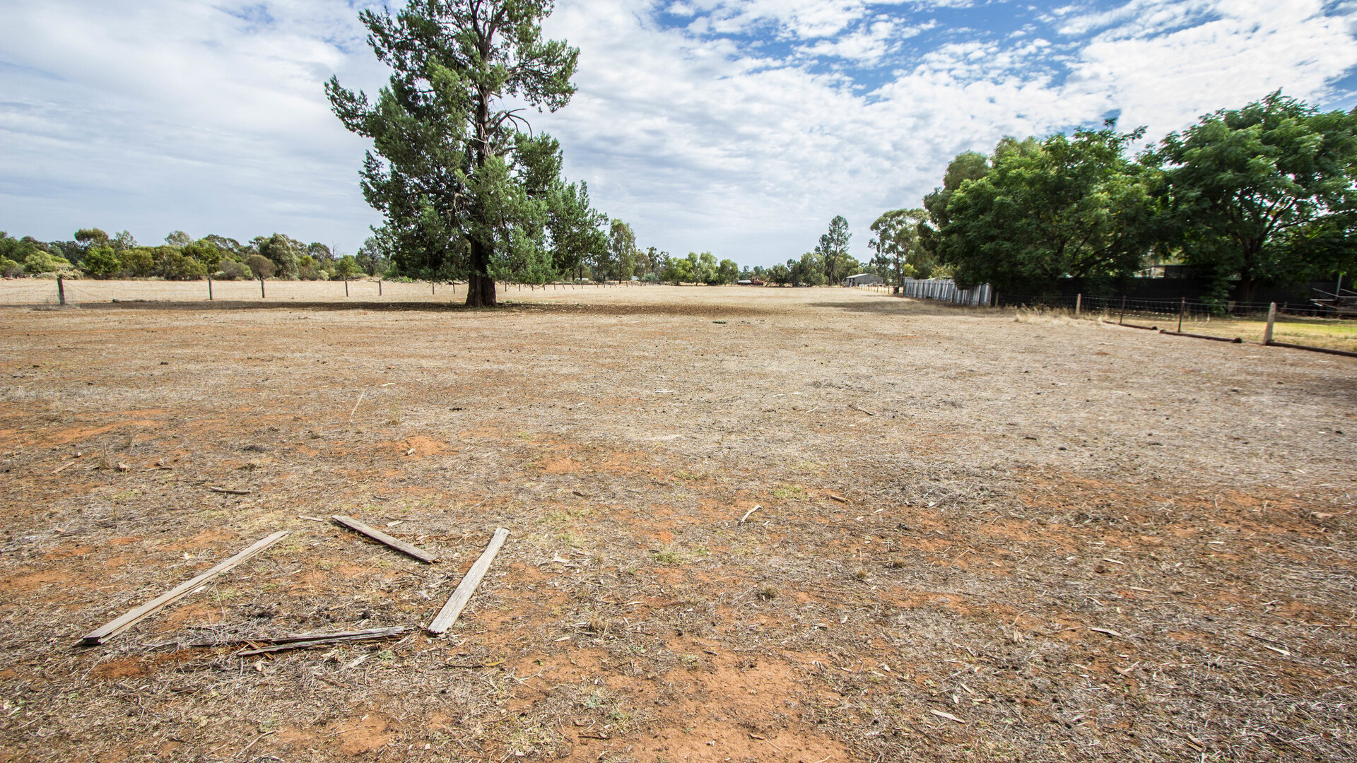 179 Pine Hill Road, Narrandera NSW 2700 - photo 13