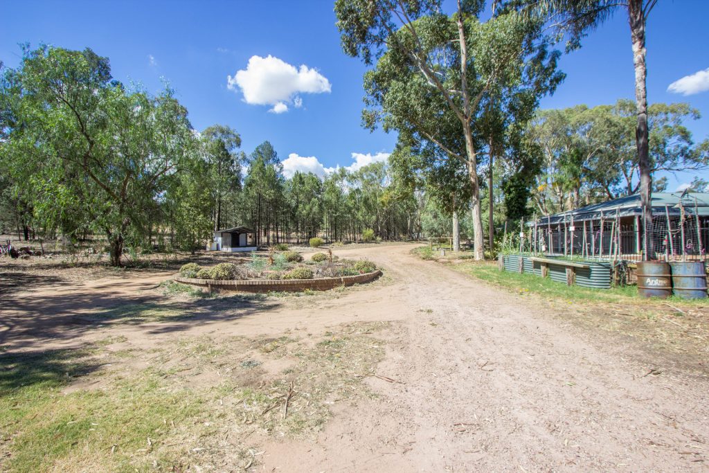 4 Bells Road, Narrandera NSW 2700 - photo 12