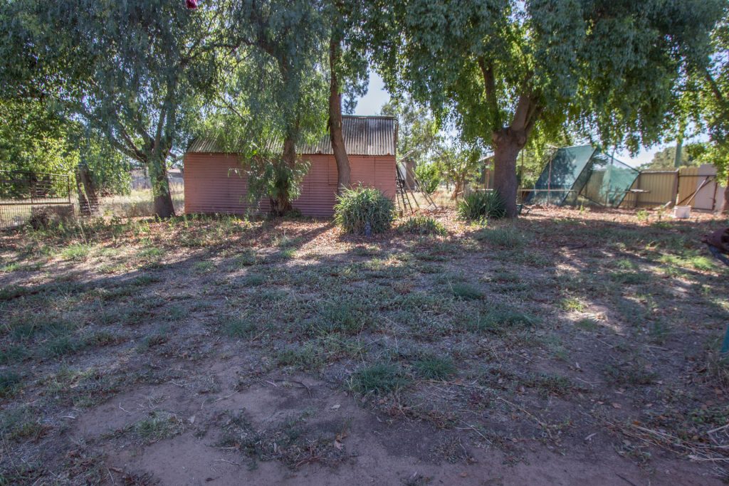 36 Ford Street, Ganmain NSW 2702 - photo 8