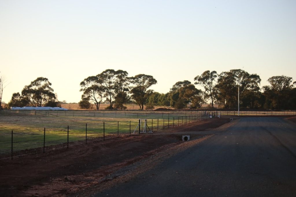 Ellerslie Estate, Temora NSW 2666 - photo 6