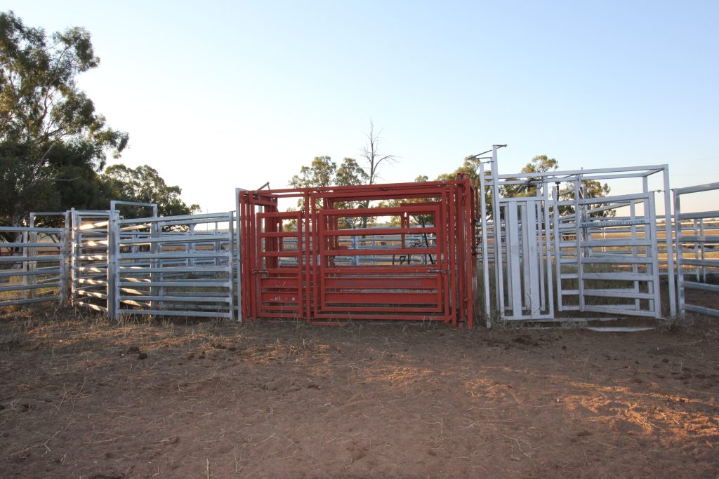 1/1097 Irrigation Way, Narrandera NSW 2700 - photo 11