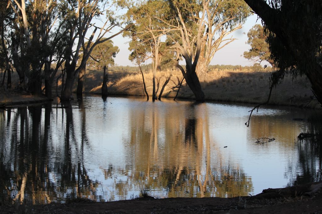 1/1097 Irrigation Way, Narrandera NSW 2700 - photo 4