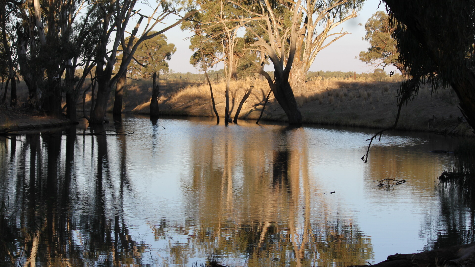 1/1097 Irrigation Way, Narrandera NSW 2700 - photo 4