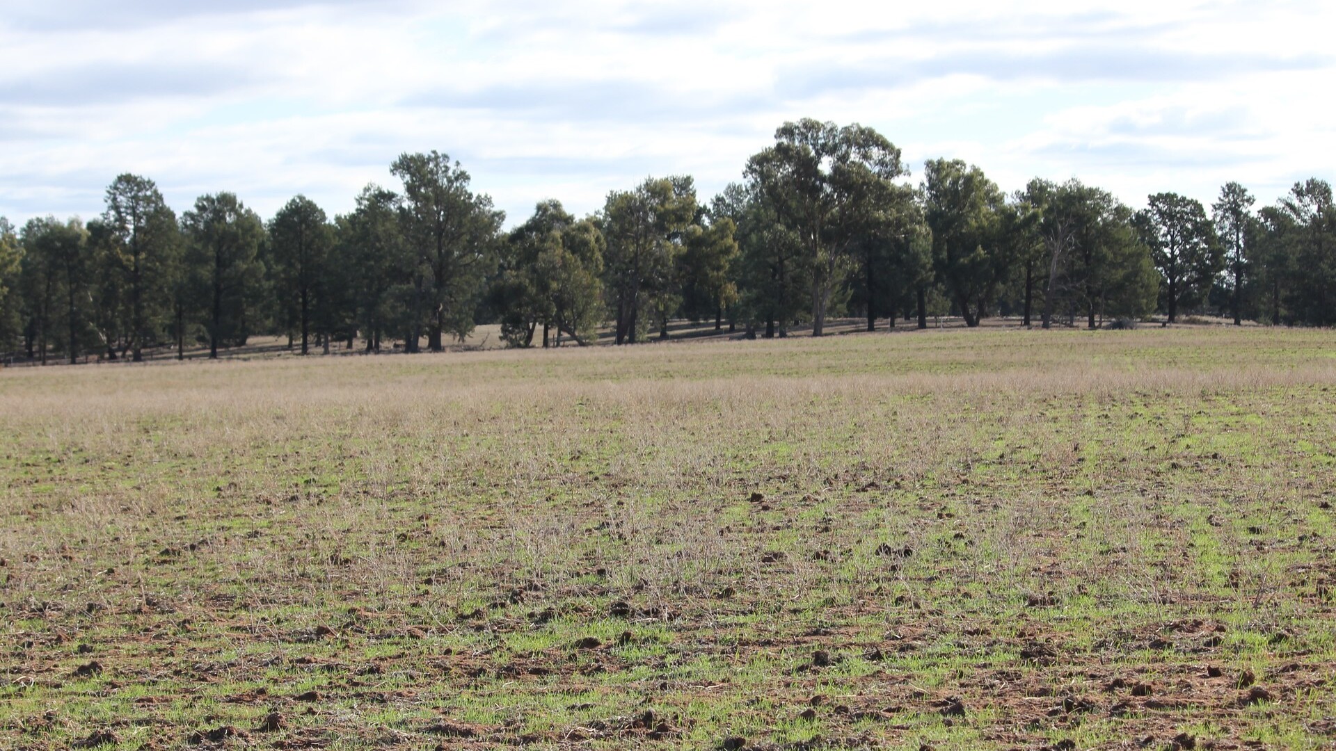 1/1097 Irrigation Way, Narrandera NSW 2700 - photo 9