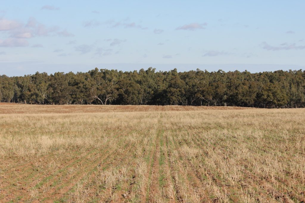 1/1097 Irrigation Way, Narrandera NSW 2700 - photo 10