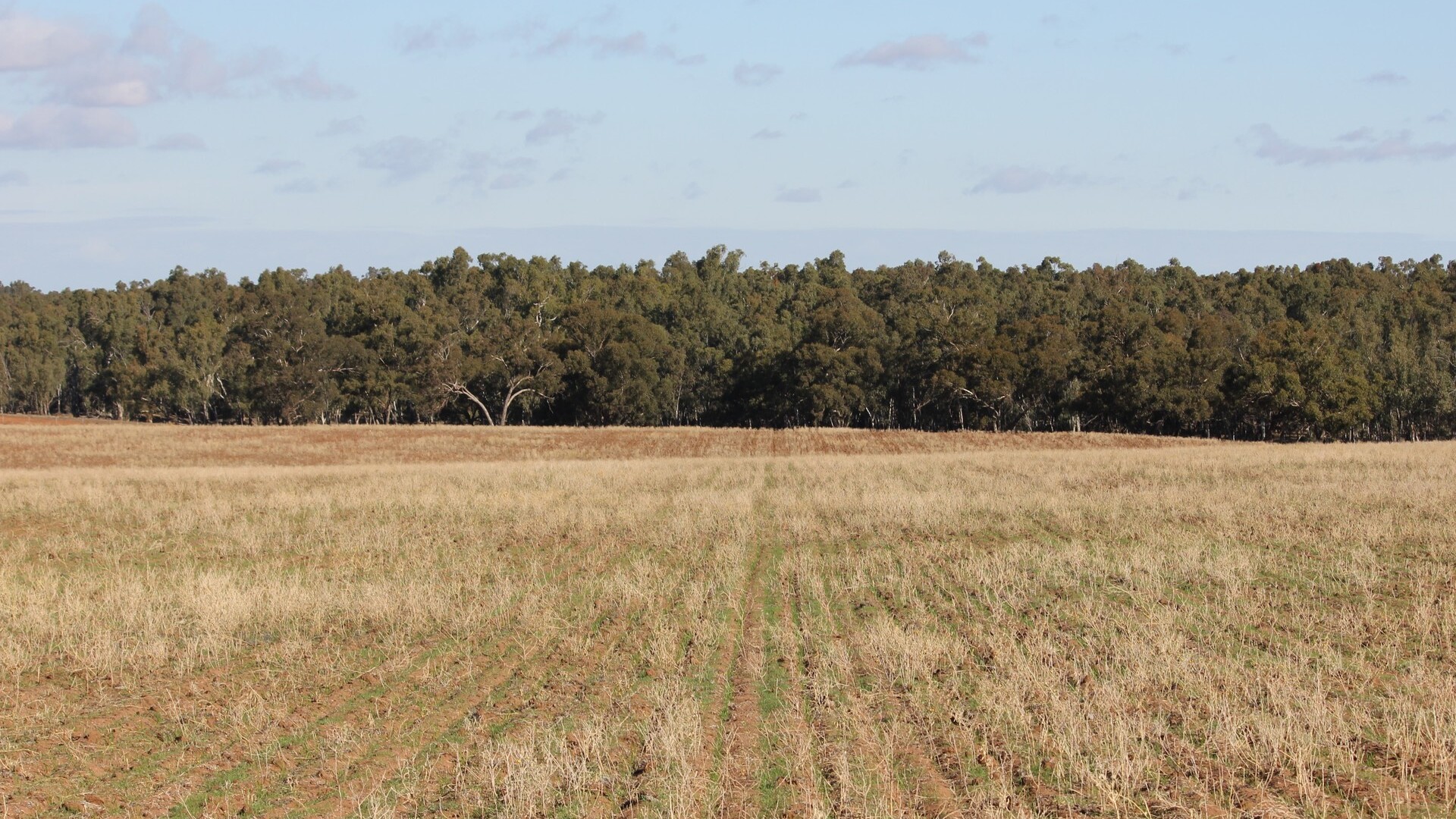 1/1097 Irrigation Way, Narrandera NSW 2700 - photo 10
