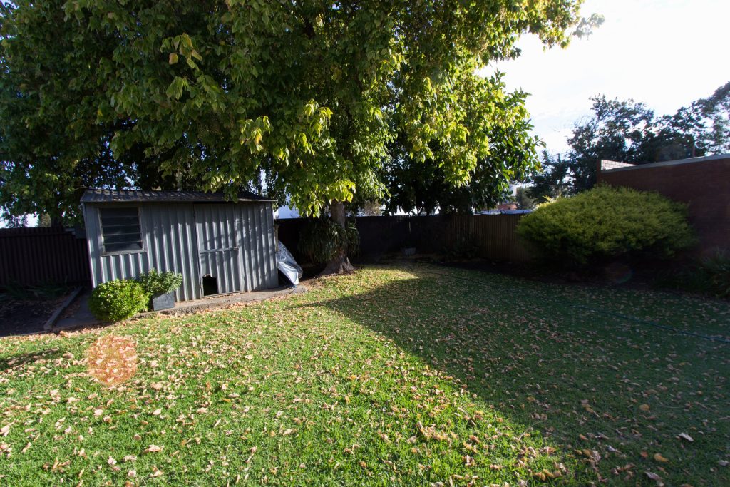 2 Japonica Place, Narrandera NSW 2700 - photo 13