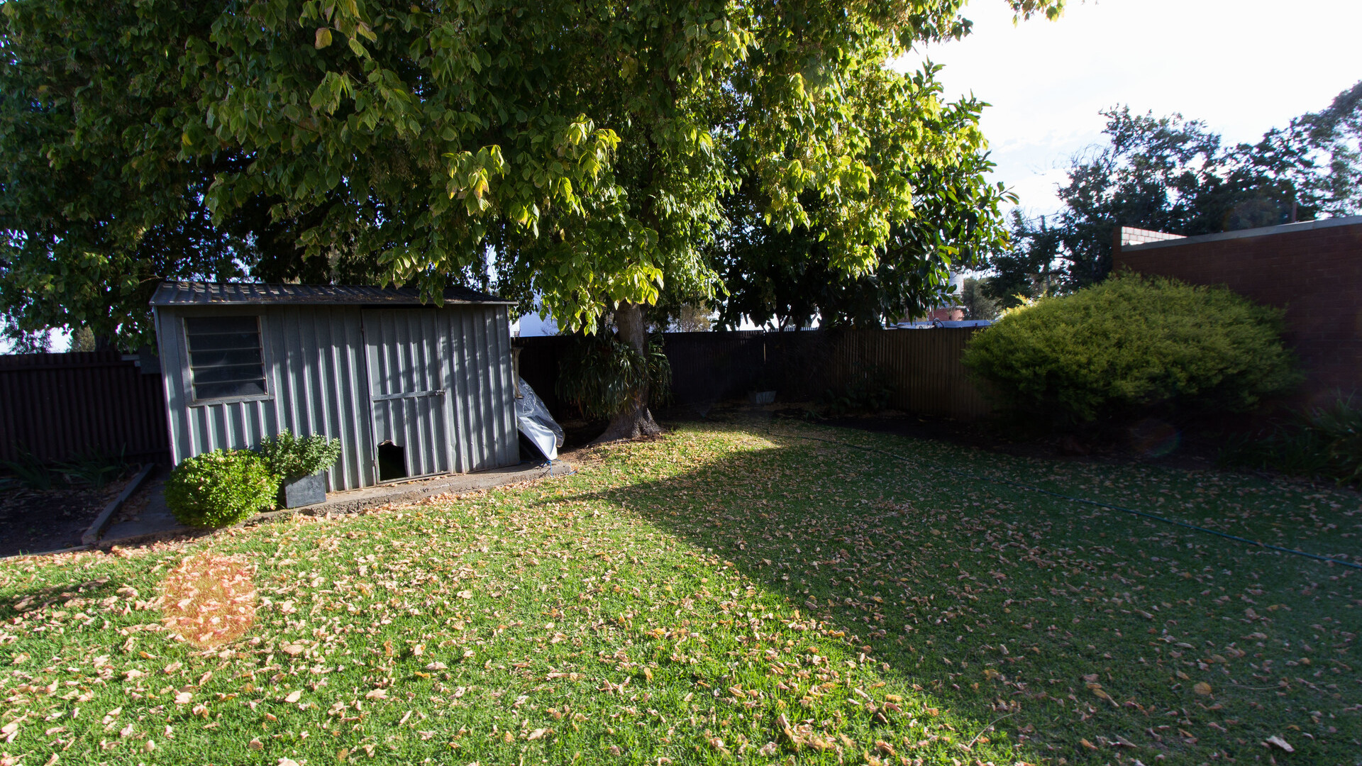 2 Japonica Place, Narrandera NSW 2700 - photo 13