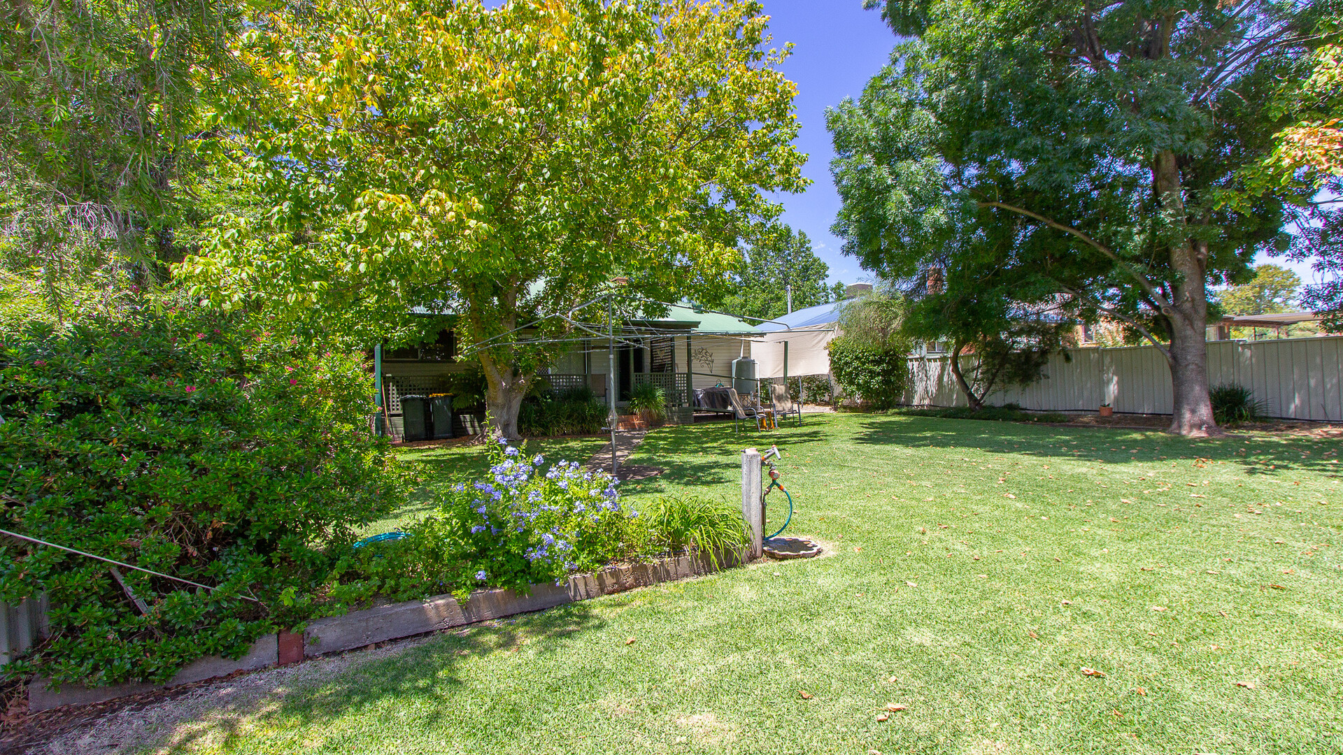20 Argyle Street, Narrandera NSW 2700 - photo 11