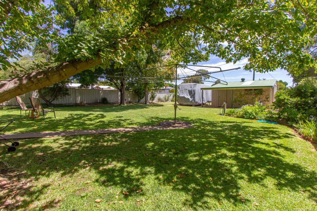 20 Argyle Street, Narrandera NSW 2700 - photo 12