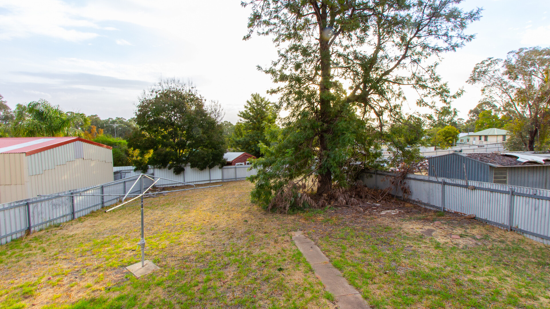 50 Frederica Street, Narrandera NSW 2700 - photo 10
