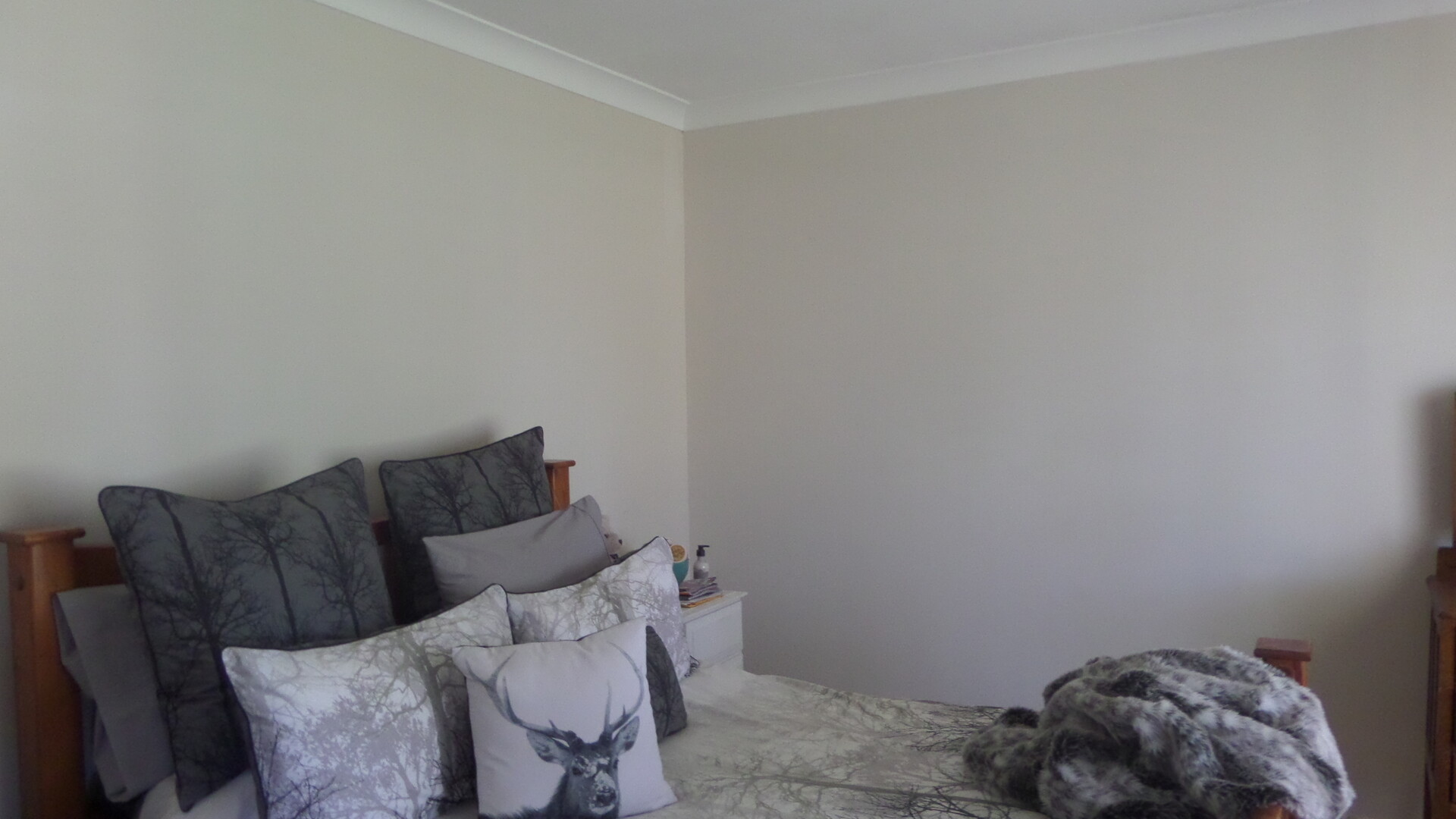 74 Dalgetty Street, Narrandera NSW 2700 - photo 11