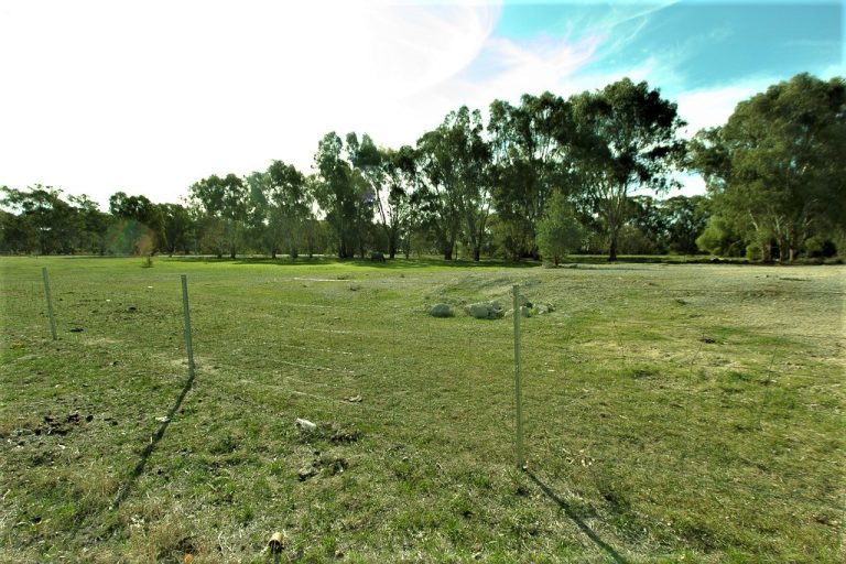 49-51 Hankinson Street, Narrandera NSW 2700 - photo 3