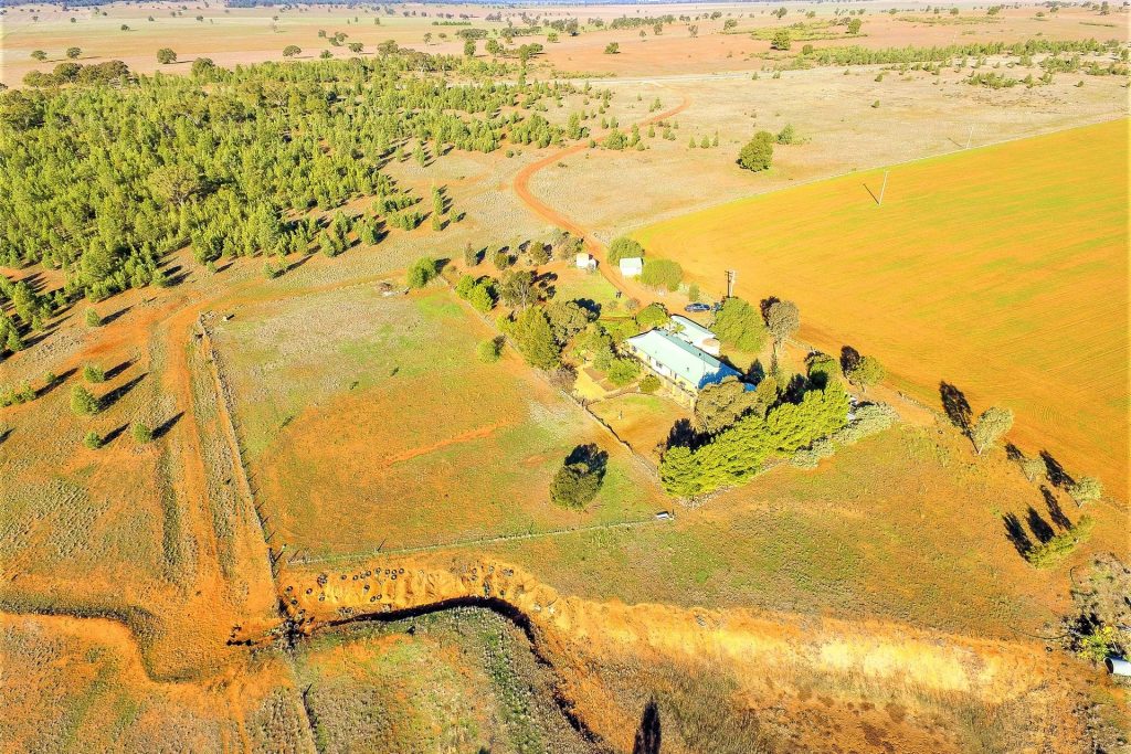 621 Barellan Road, Narrandera NSW 2700 - photo 2