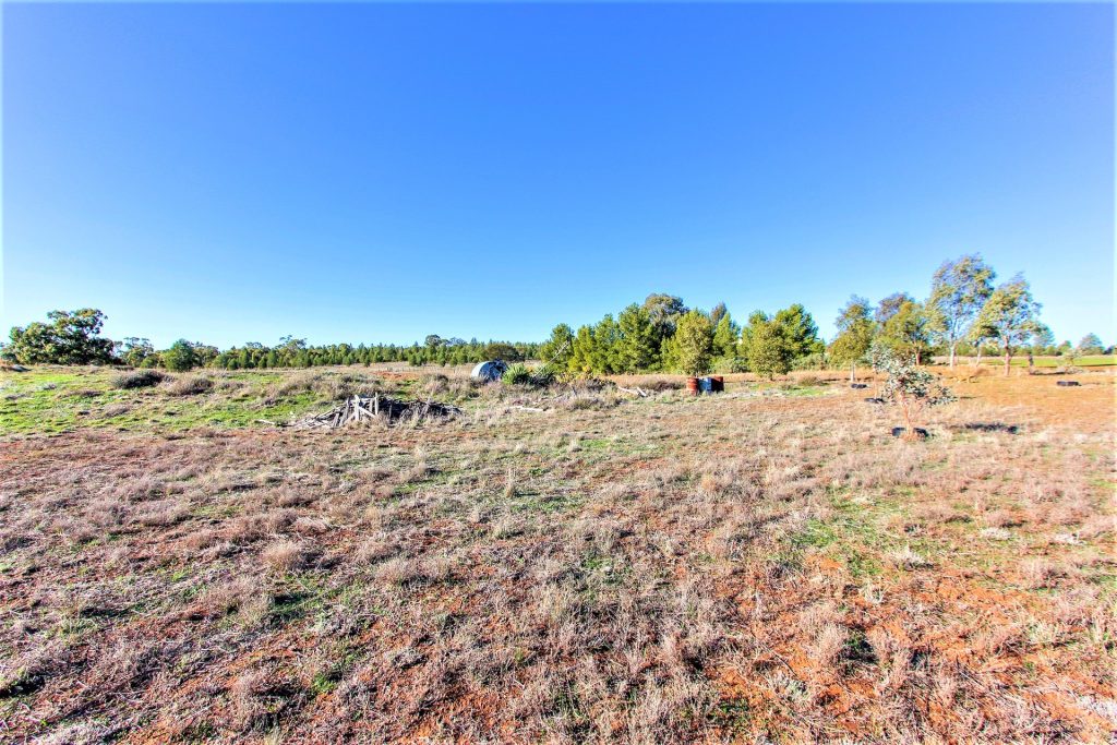 621 Barellan Road, Narrandera NSW 2700 - photo 18