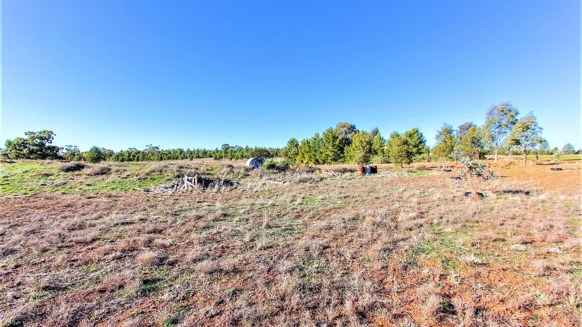 621 Barellan Road, Narrandera NSW 2700 - photo 18