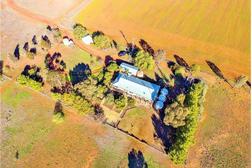 621 Barellan Road, Narrandera NSW 2700 - photo 3