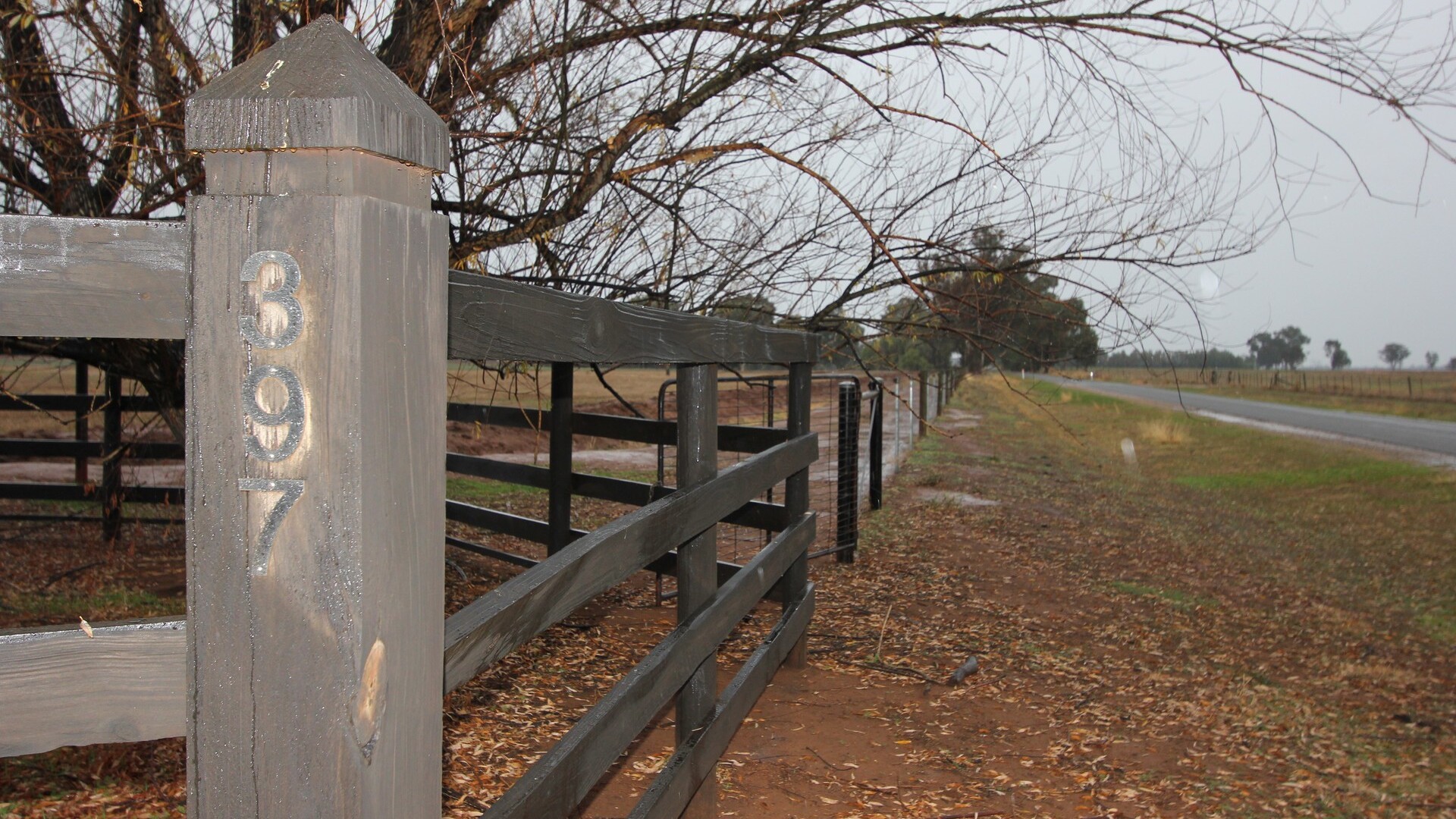 397 Caseys Road, Berrigan NSW 2712 - photo 2