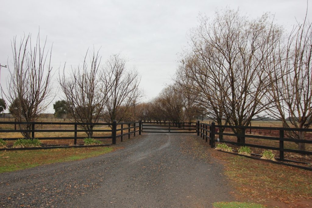 397 Caseys Road, Berrigan NSW 2712 - McGrath Riverina