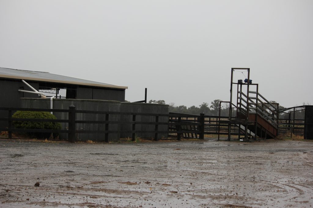 397 Caseys Road, Berrigan NSW 2712 - photo 13