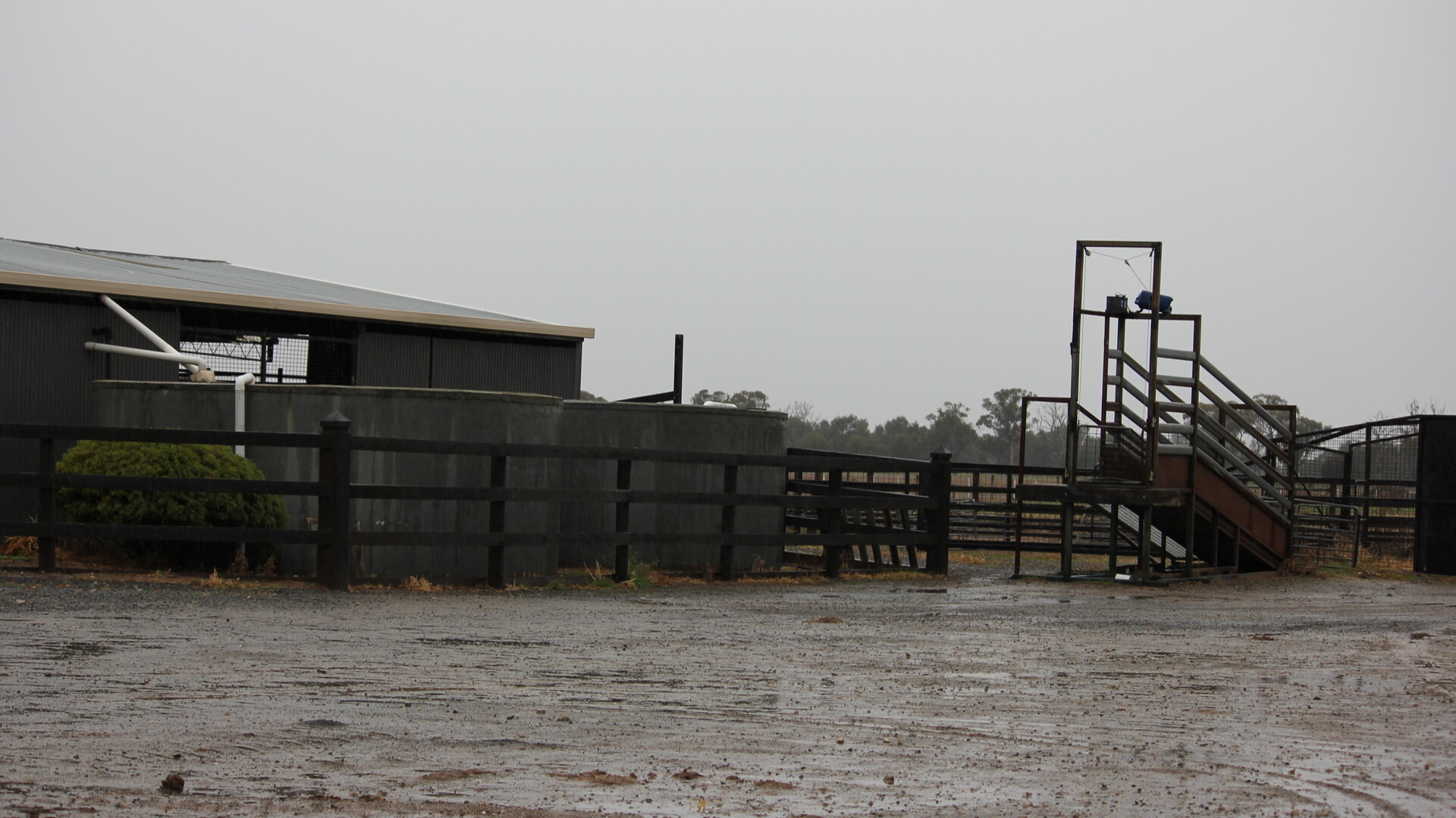 397 Caseys Road, Berrigan NSW 2712 - photo 13