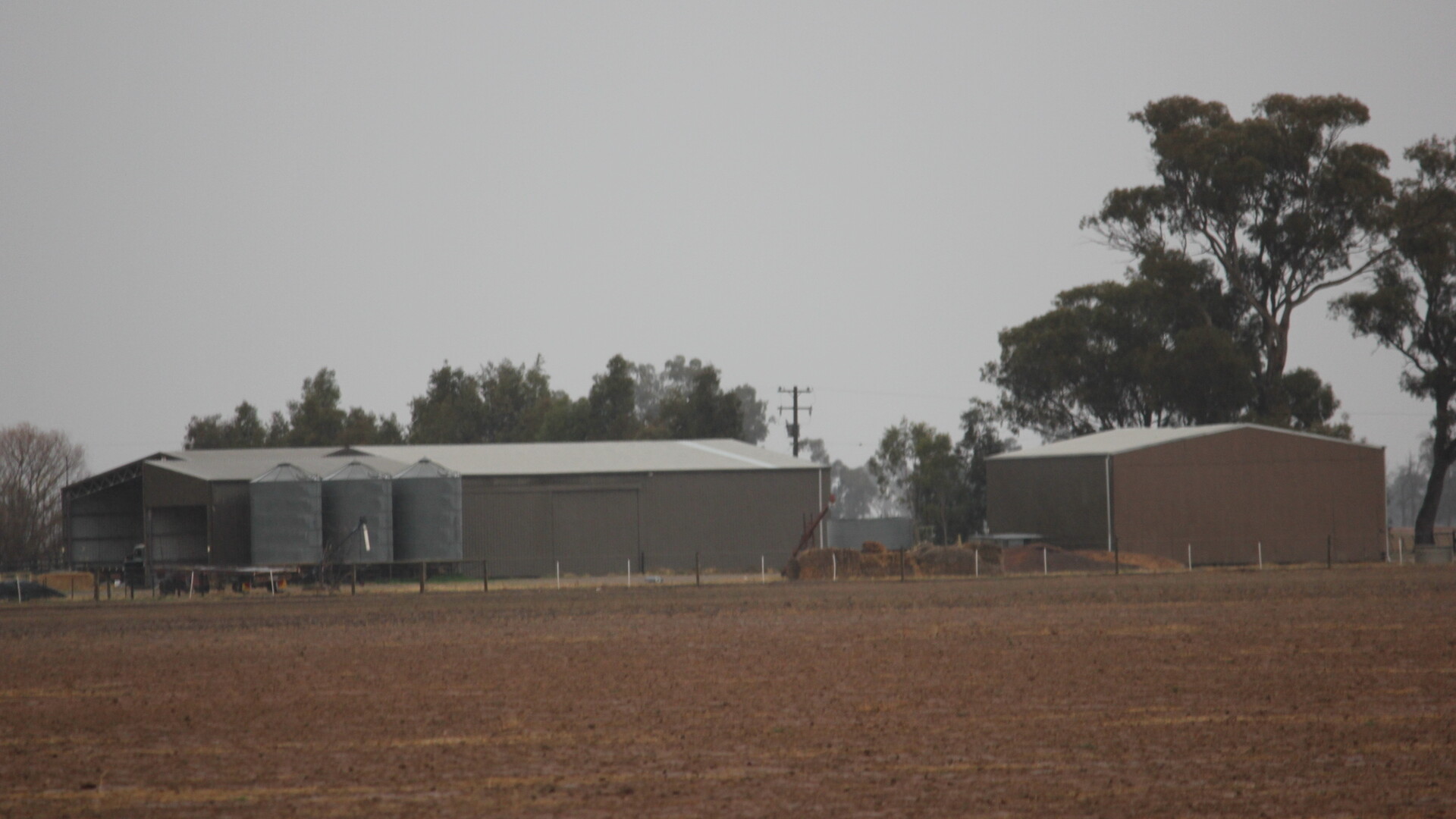 397 Caseys Road, Berrigan NSW 2712 - photo 4