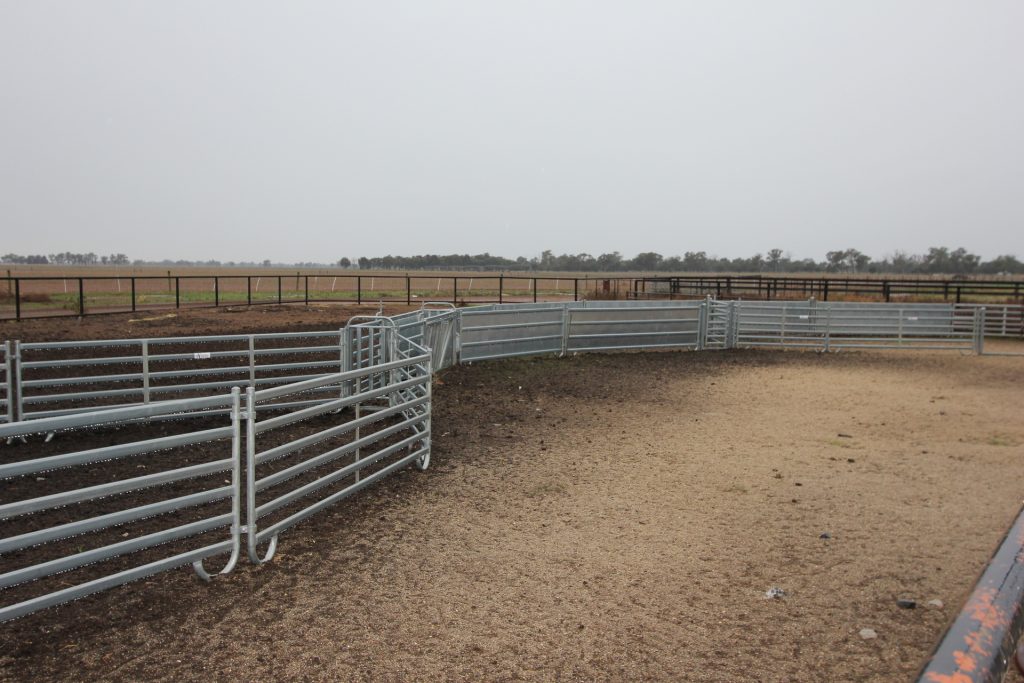 397 Caseys Road, Berrigan NSW 2712 - photo 9
