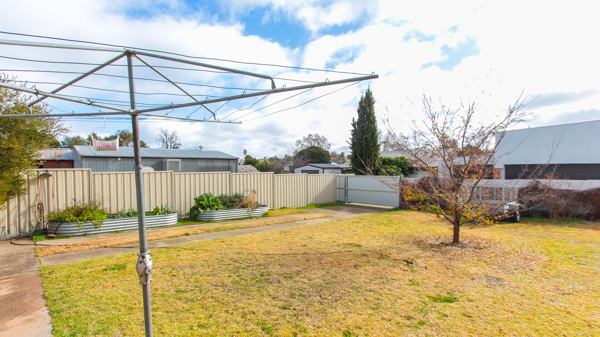 113 Larmer Street, Narrandera NSW 2700 - photo 12