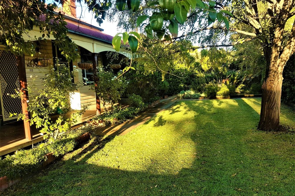 113 Larmer Street, Narrandera NSW 2700 - photo 8