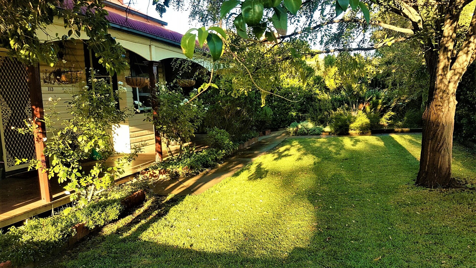 113 Larmer Street, Narrandera NSW 2700 - photo 8
