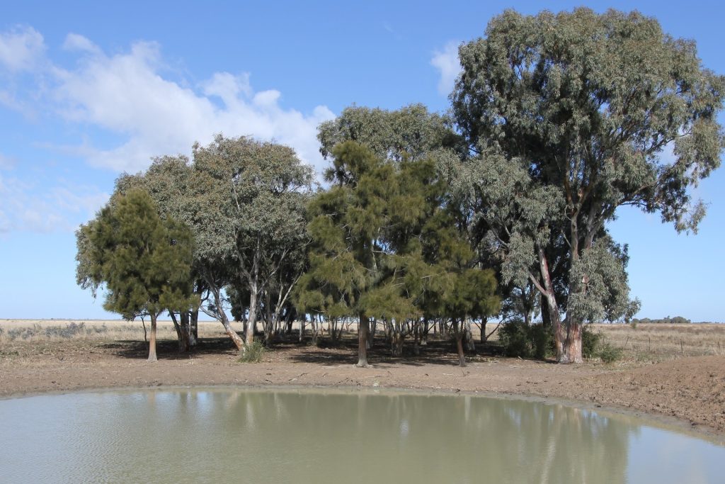 Glenn Road, Coleambally NSW 2707 - photo 3