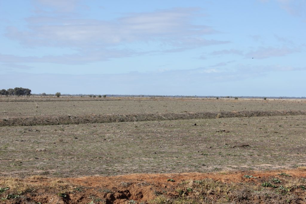 Glenn Road, Coleambally NSW 2707 - photo 6
