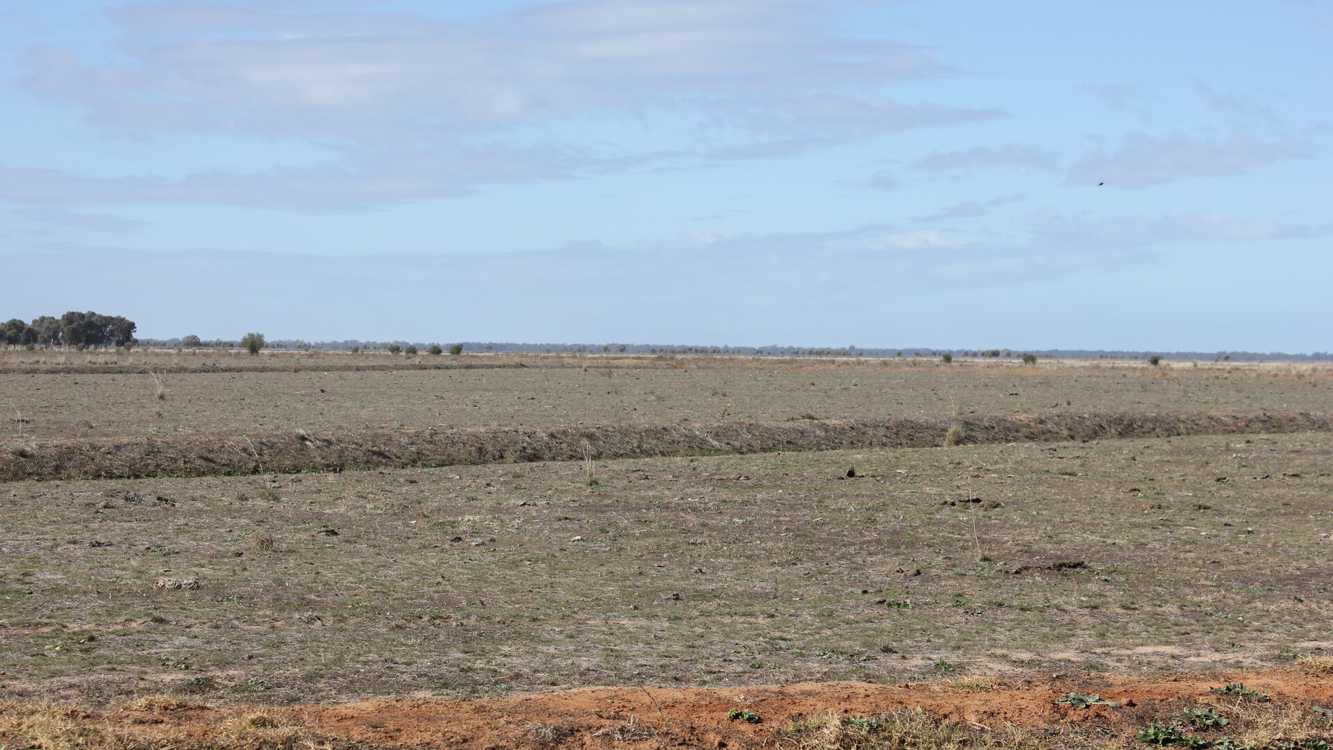Glenn Road, Coleambally NSW 2707 - photo 6