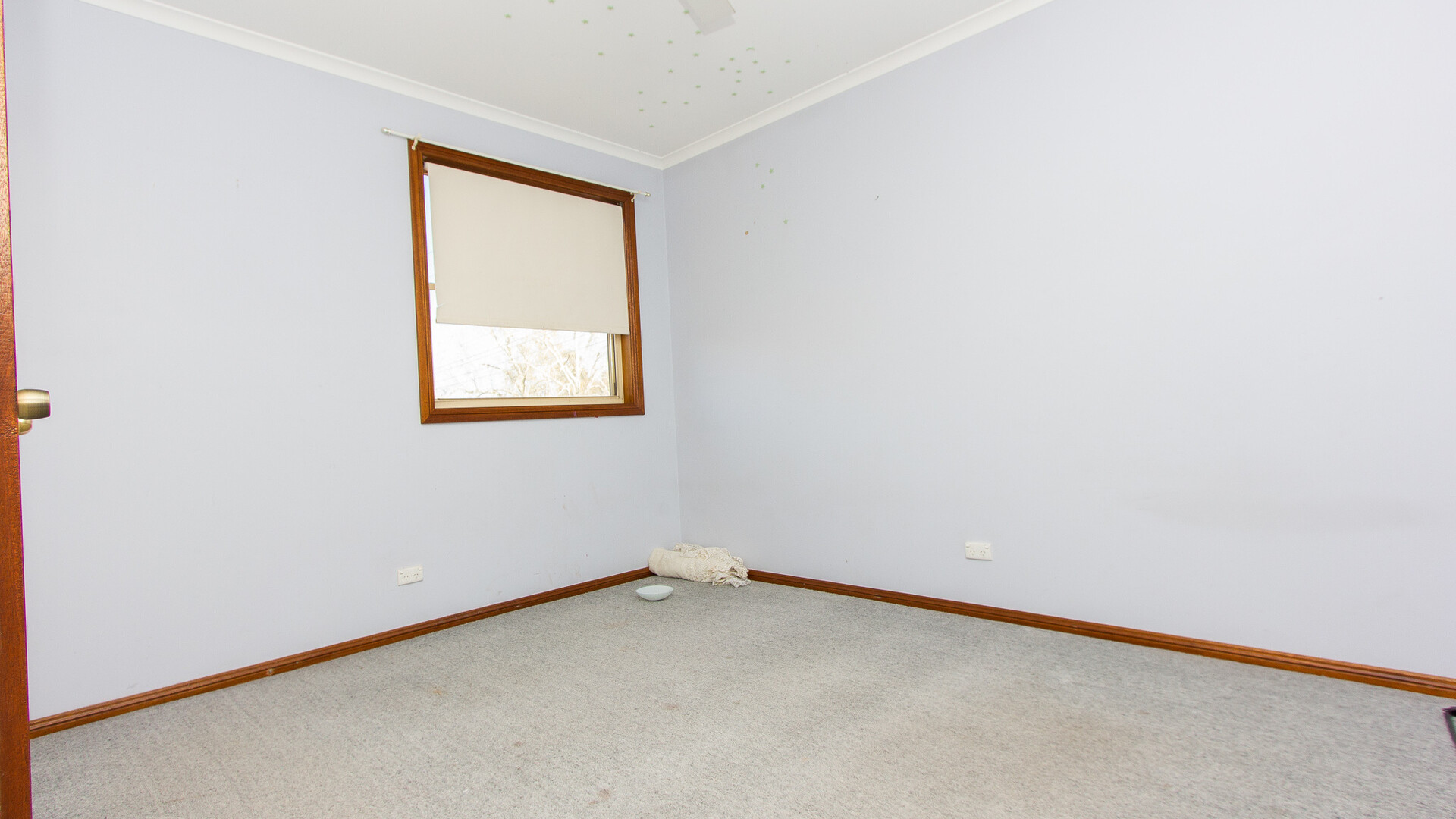 49 Adams Street, Narrandera NSW 2700 - photo 10