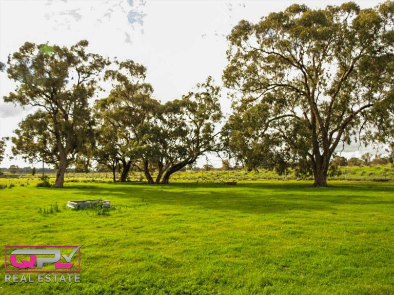 444 Irrigation Way, Narrandera NSW 2700 - photo 13