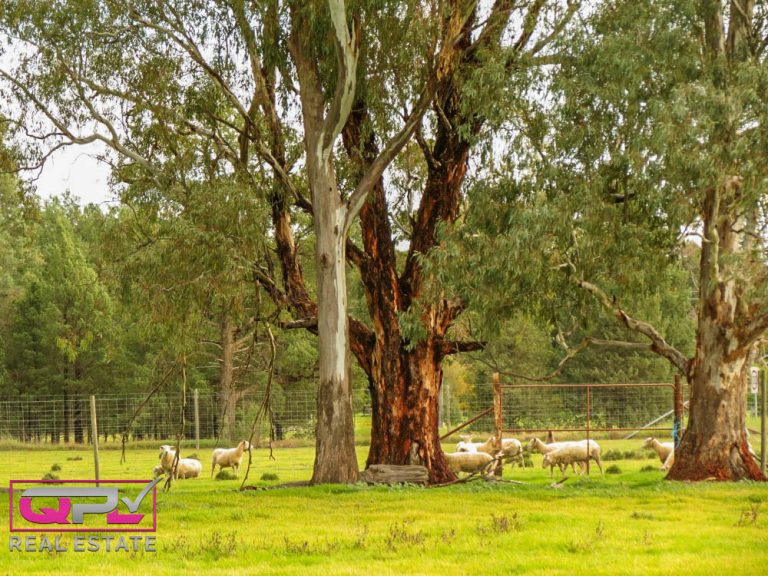 444 Irrigation Way, Narrandera NSW 2700 - photo 16