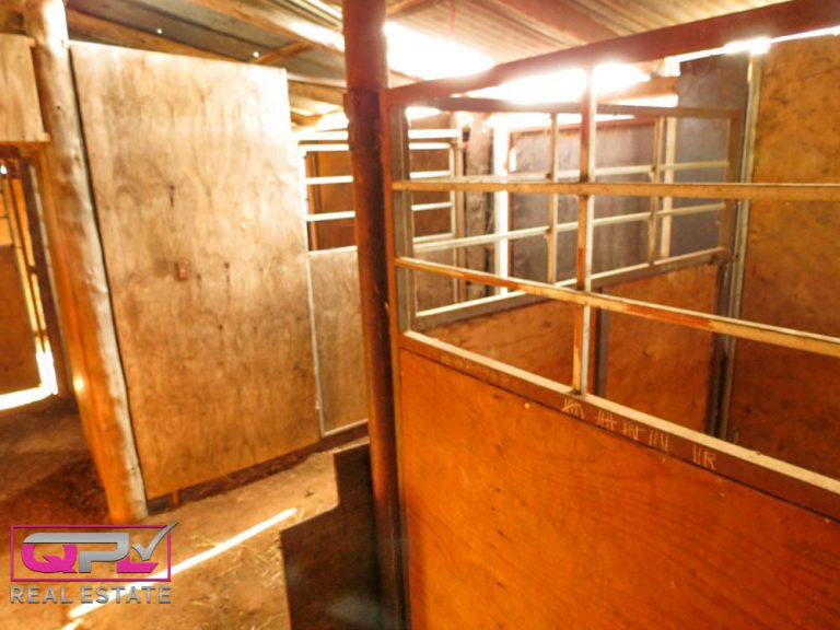 444 Irrigation Way, Narrandera NSW 2700 - photo 17