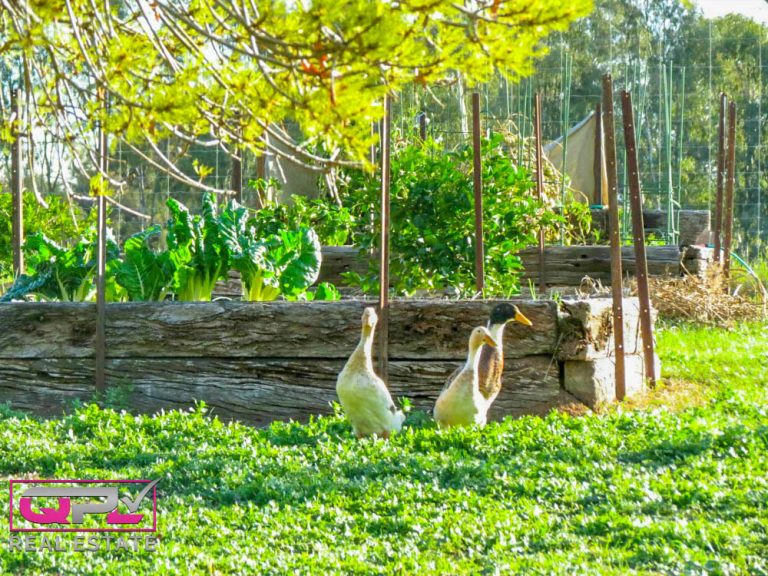 444 Irrigation Way, Narrandera NSW 2700 - photo 5