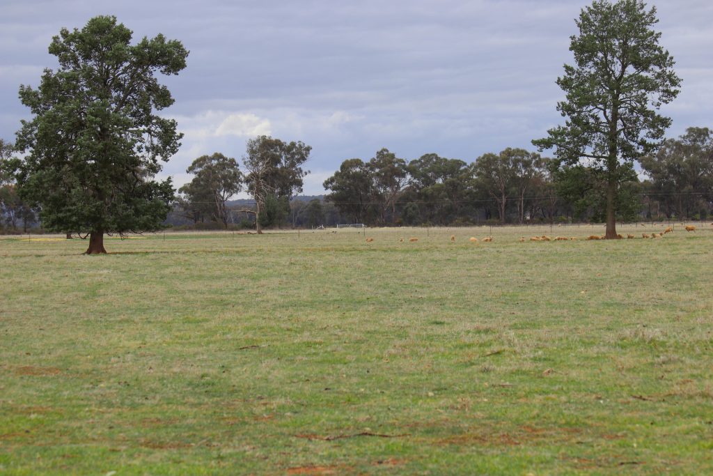 7589 Burley Griffin Way, Temora NSW 2666 - photo 11