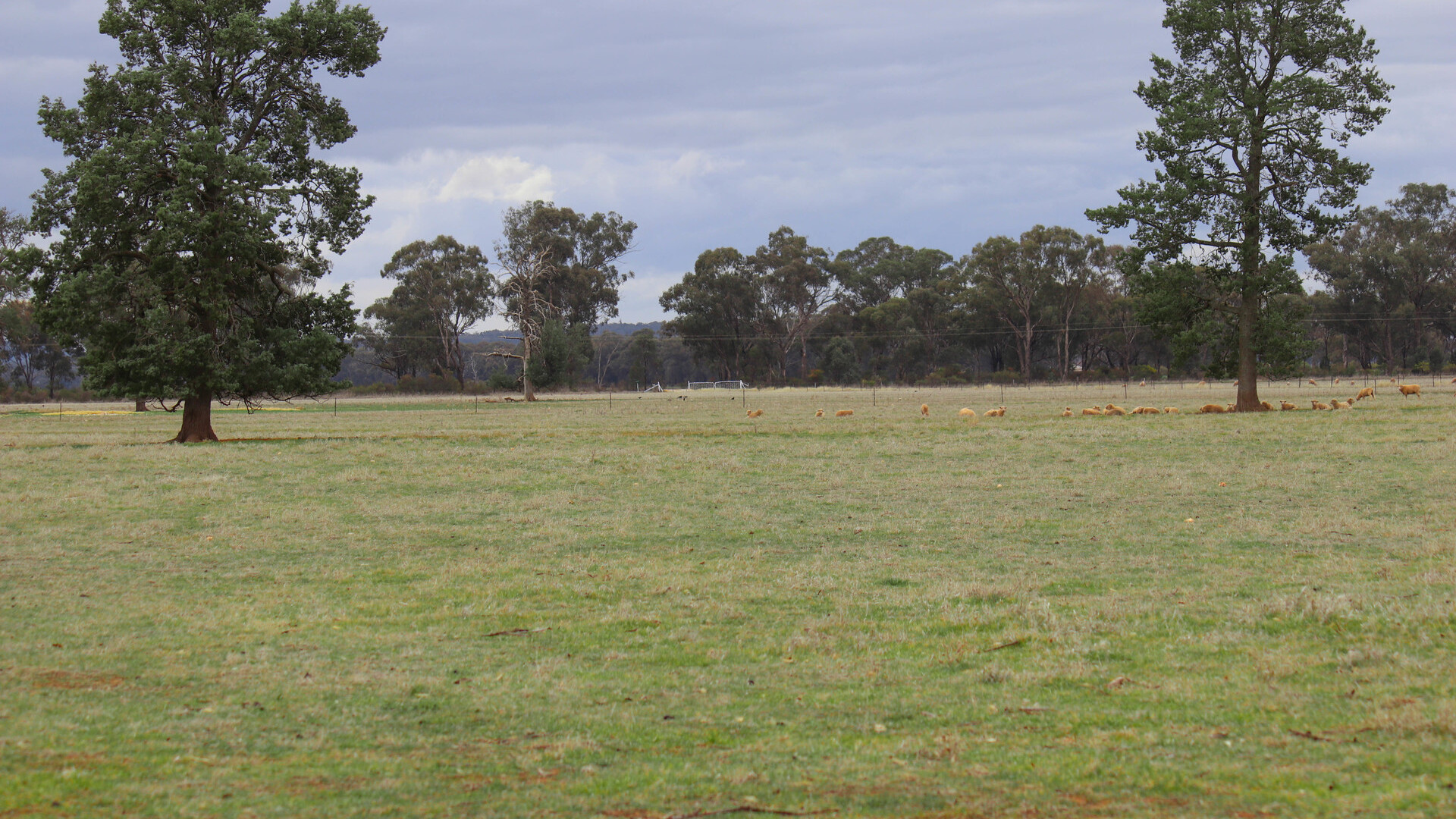 7589 Burley Griffin Way, Temora NSW 2666 - photo 11
