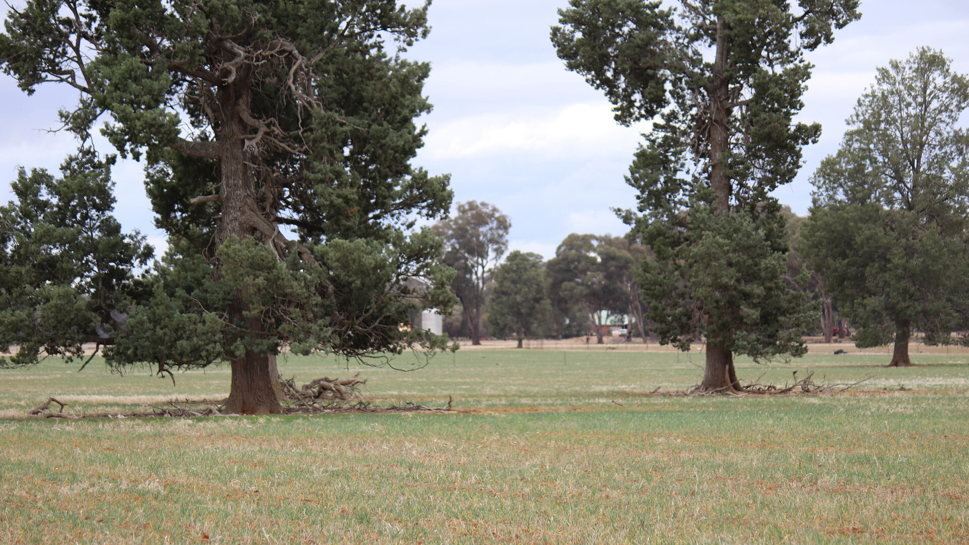 7589 Burley Griffin Way, Temora NSW 2666 - photo 14