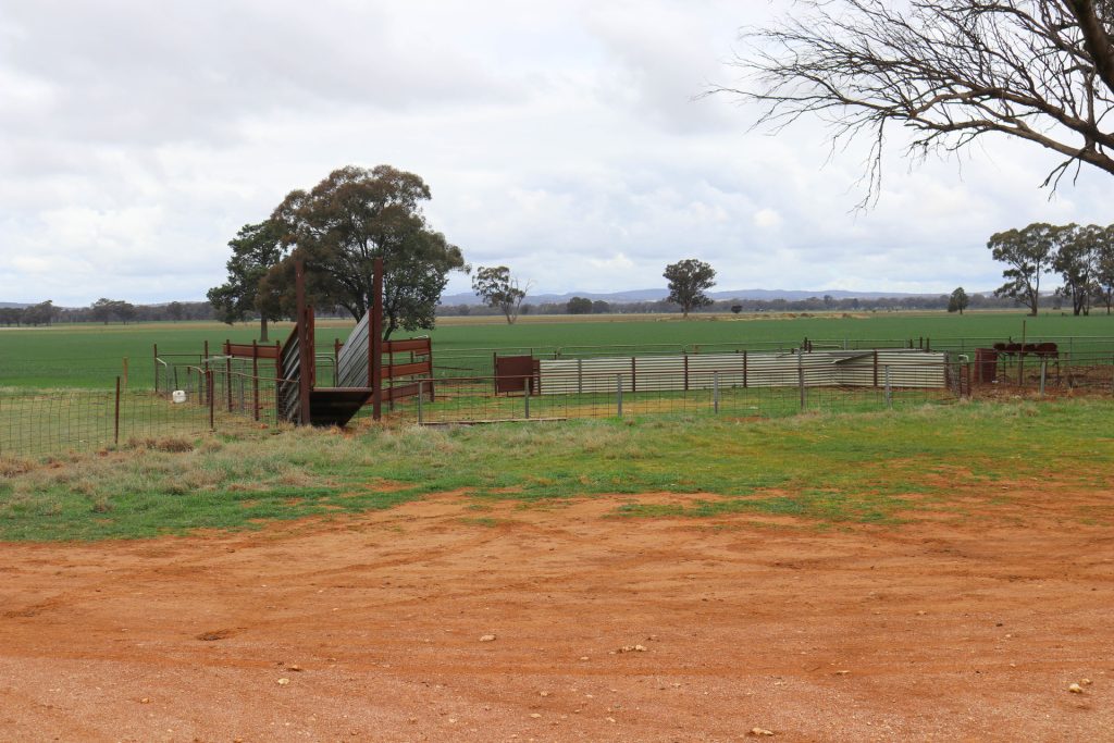 7589 Burley Griffin Way, Temora NSW 2666 - photo 16