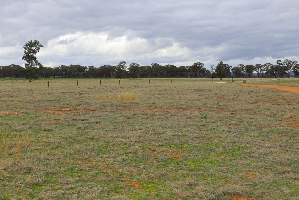 7589 Burley Griffin Way, Temora NSW 2666 - photo 18