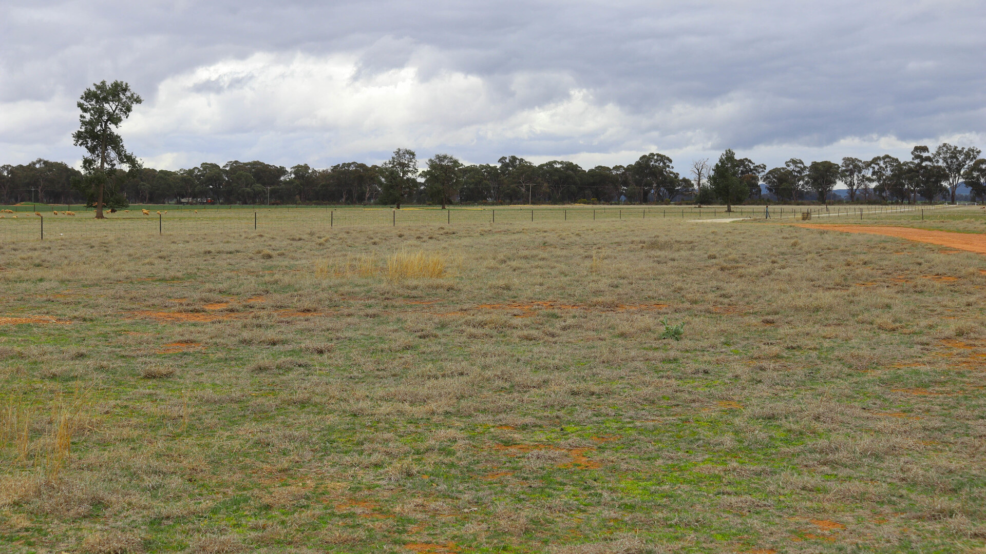 7589 Burley Griffin Way, Temora NSW 2666 - photo 18
