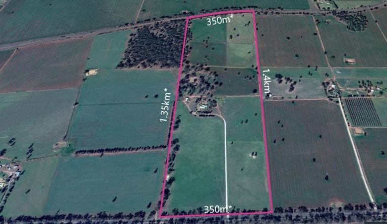 7589 Burley Griffin Way, Temora NSW 2666 - photo 20