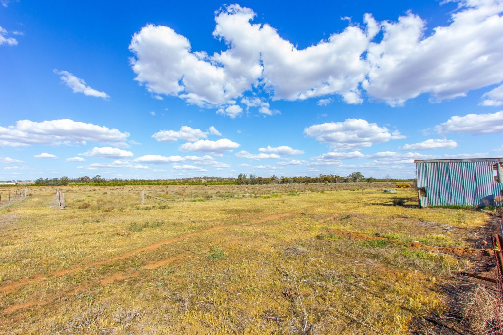 193 Canal Road, Leeton NSW 2705 - photo 15