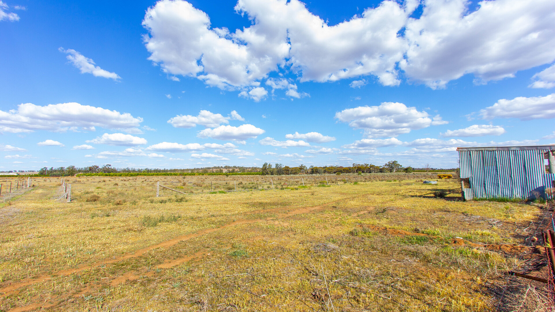 193 Canal Road, Leeton NSW 2705 - photo 15