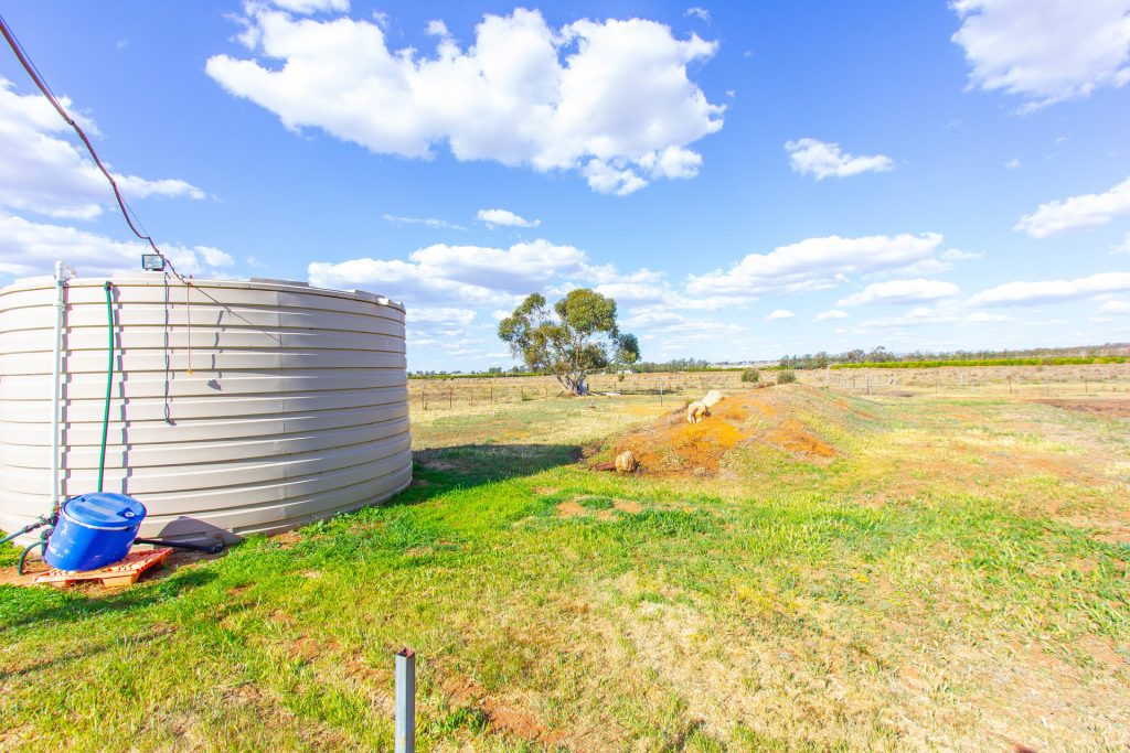 193 Canal Road, Leeton NSW 2705 - photo 16