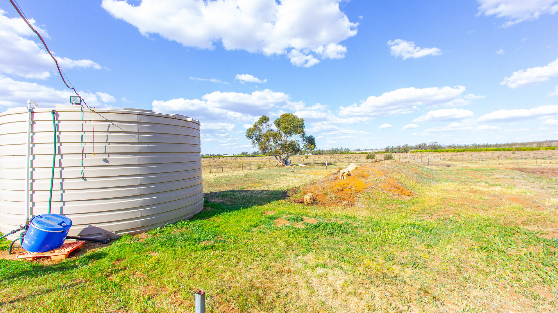 193 Canal Road, Leeton NSW 2705 - photo 16