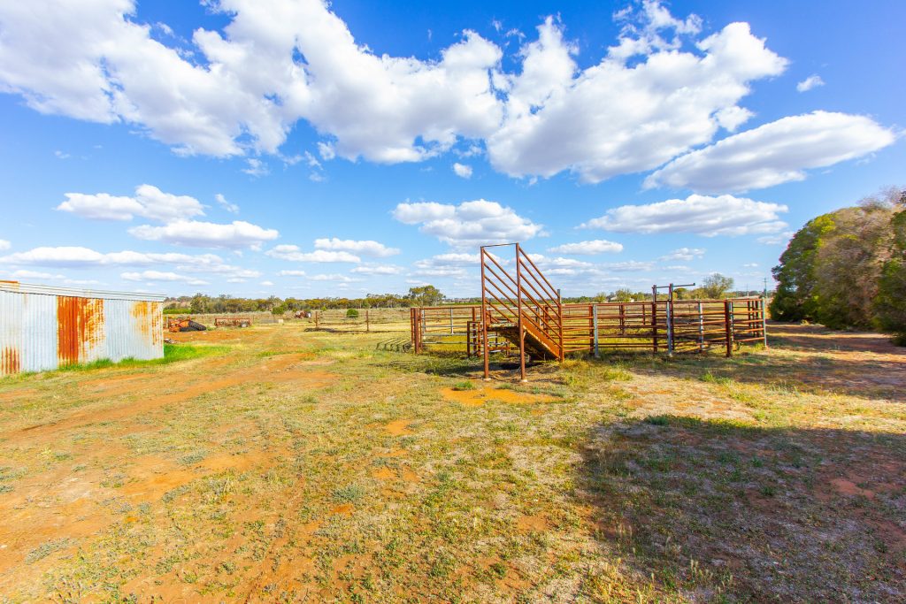 193 Canal Road, Leeton NSW 2705 - photo 18